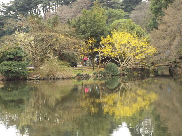 DSCF0202
