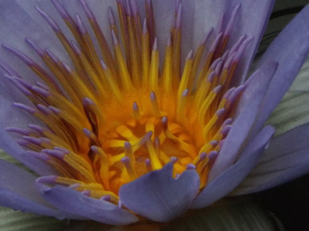 DSCF0503