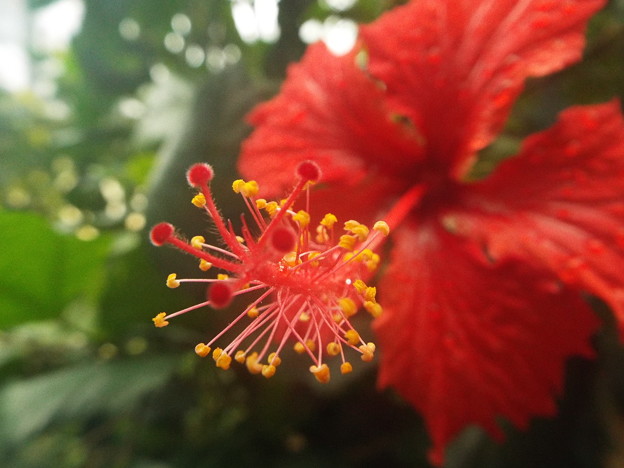 DSCF0454