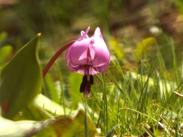 DSCF0171
