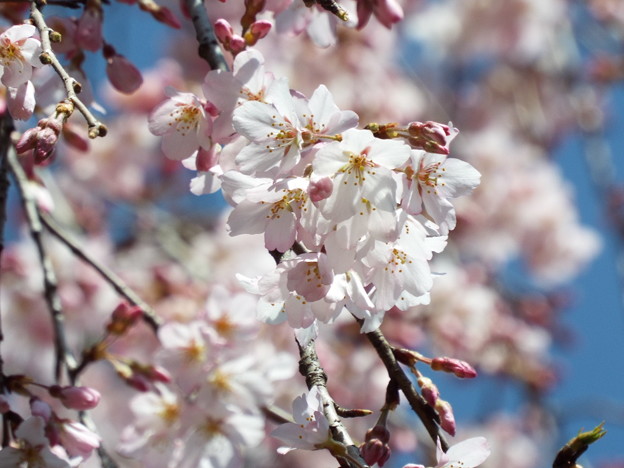 DSCF0143