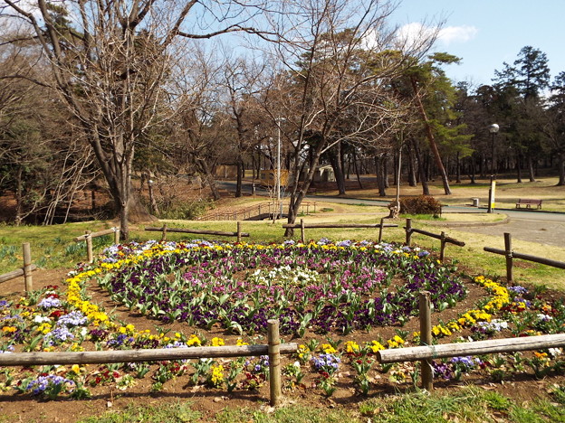 DSCF0006