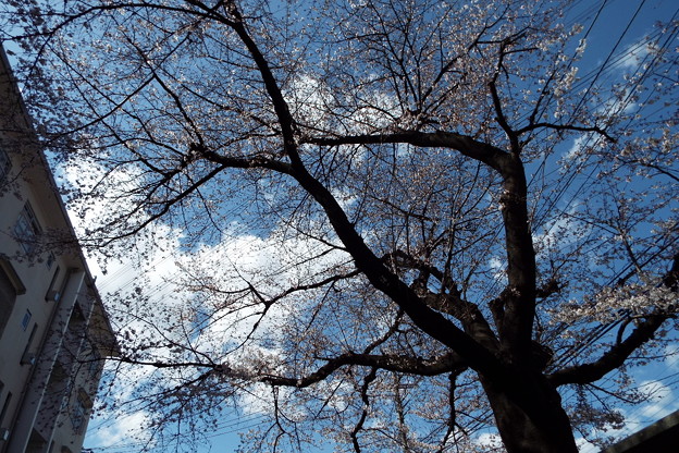 DSCF0106