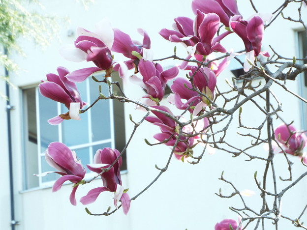 DSCF0210