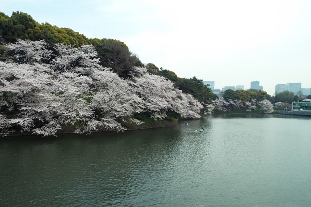 DSCF0518