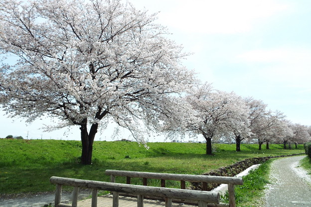 DSCF0109