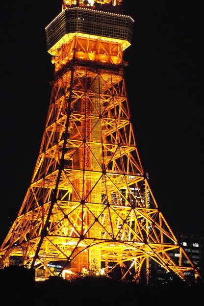 DSCF0211