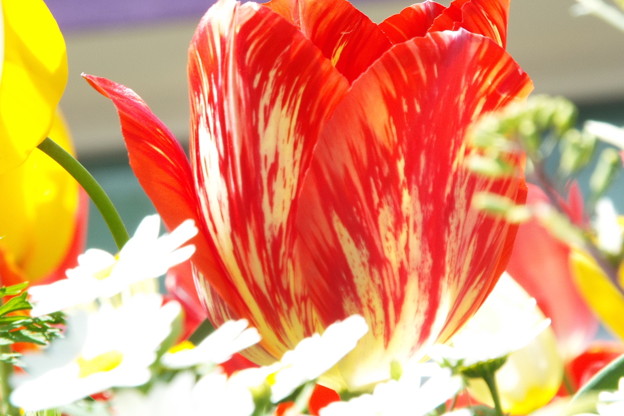 DSCF0062