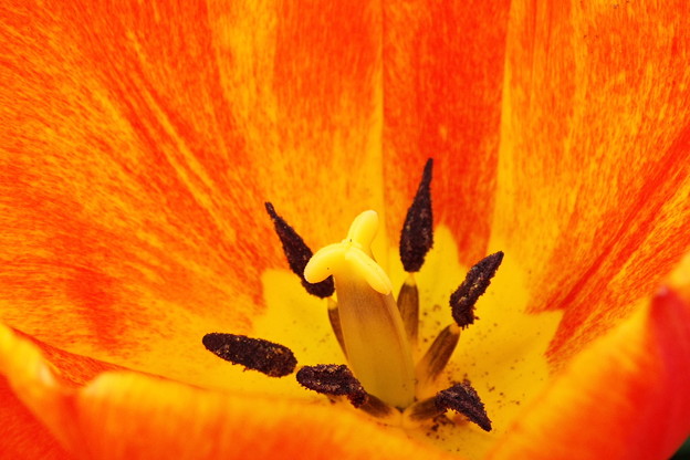 DSCF0258