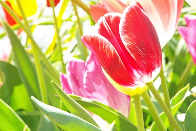 DSCF0044