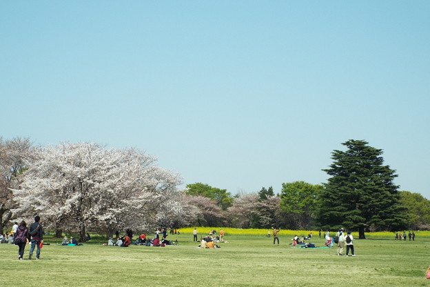 DSCF0520