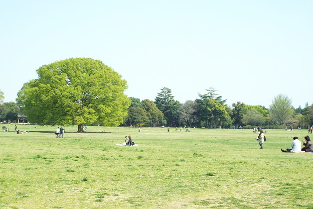 DSCF0521