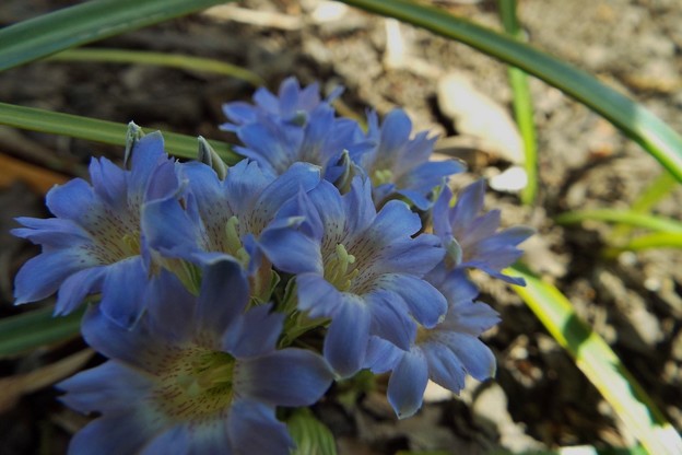 DSCF0195
