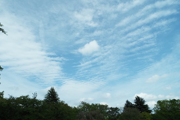 DSCF0368