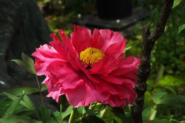 DSCF0089