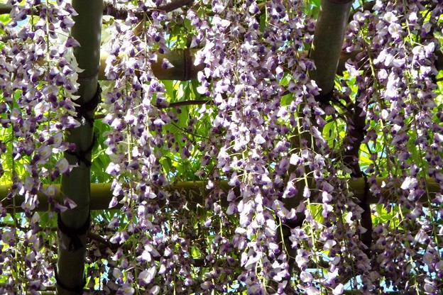 DSCF0135