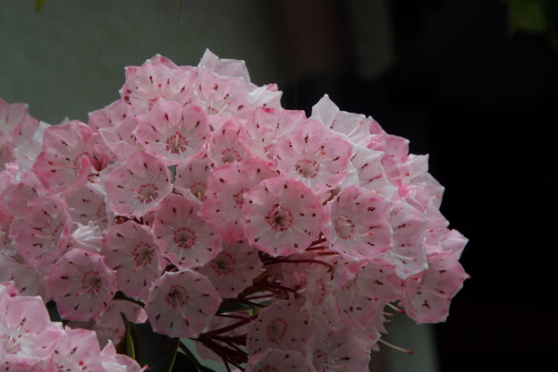 DSCF0303