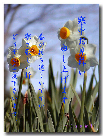 寒中5