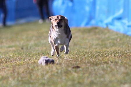 IMG_9302