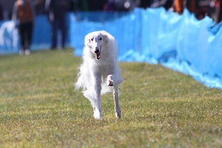 IMG_9819