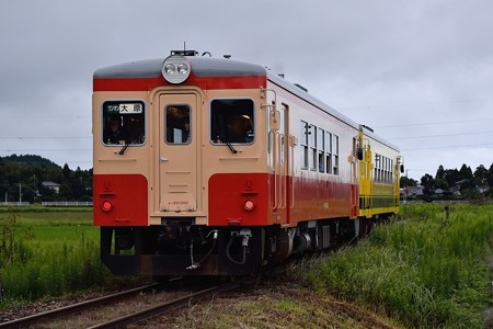 いすみ鉄道新米列車（キハ20 1301+いすみ352）