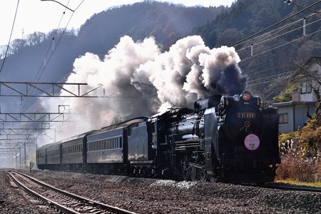 D51】SLレトロみなかみ撮影の旅【旧型客車】岩本撮影地編: 不定期列車