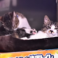 Photos: くつろぐ二人