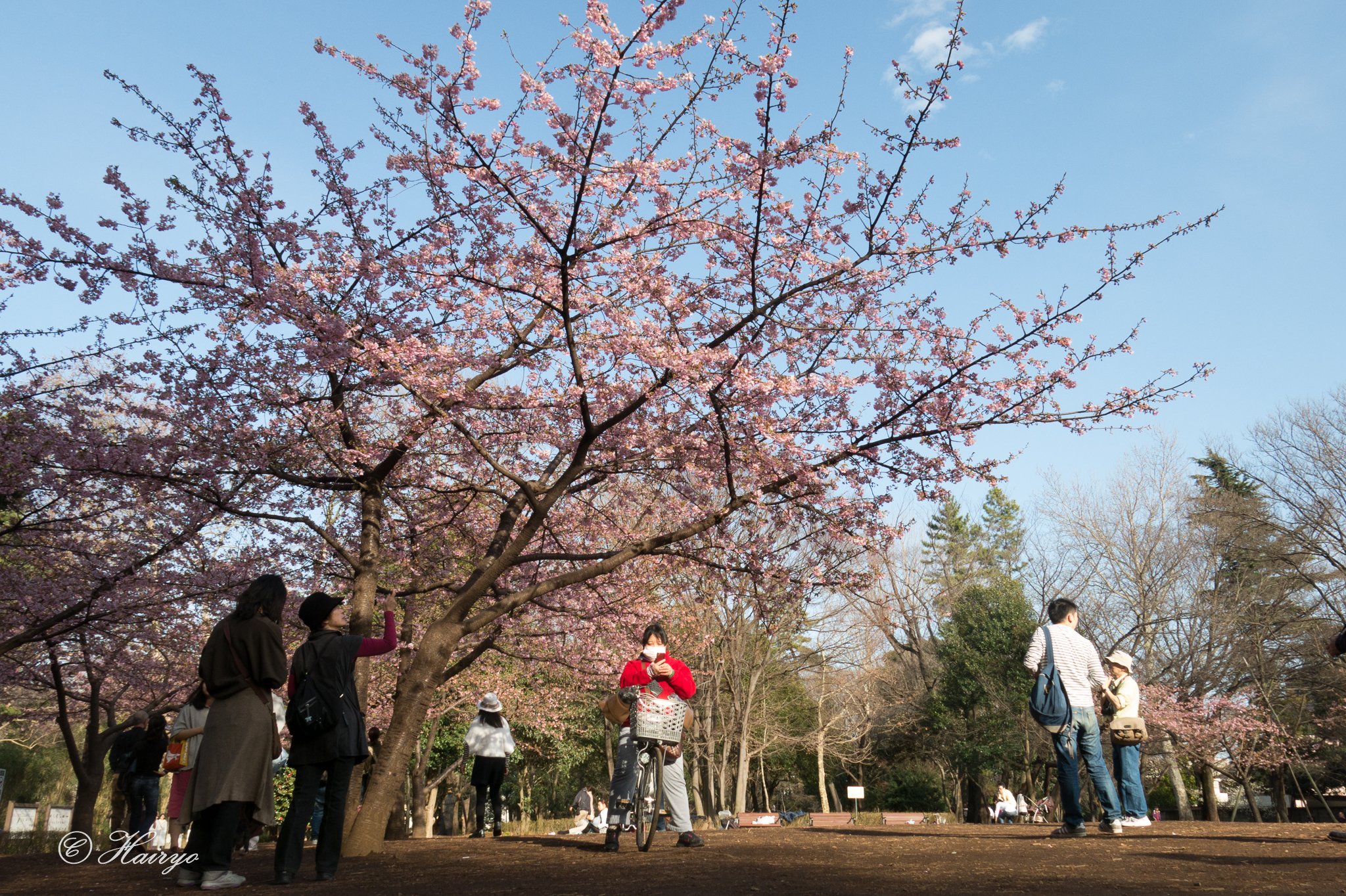 1. 春の先取り