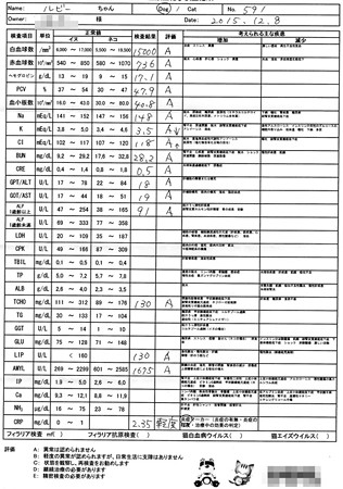 検査結果
