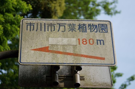 坂を上り途中で別な入口を発見