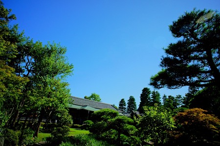 柴又帝釈天 邃渓園 庭園編