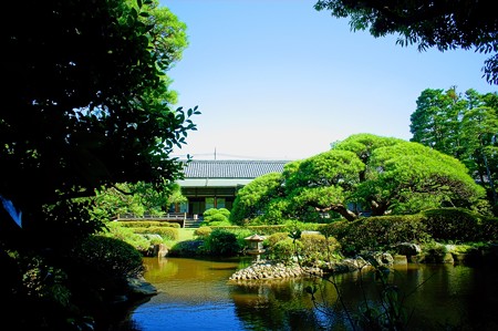 柴又帝釈天 邃渓園 庭園編