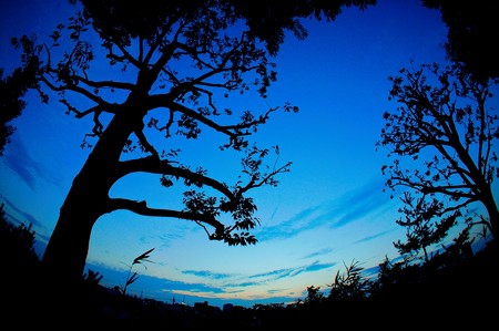 空