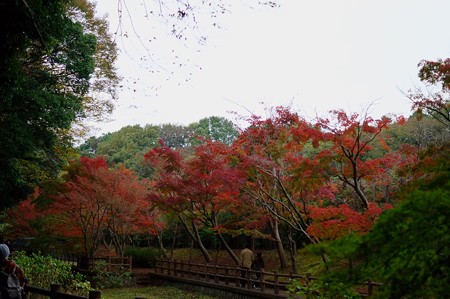 大町自然観察園