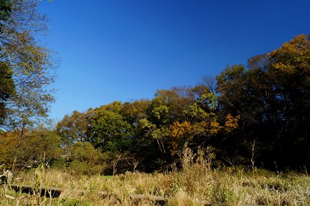 大町自然観察園