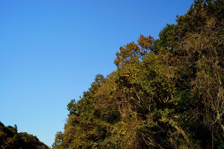 大町自然観察園