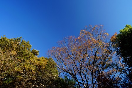 大町自然観察園