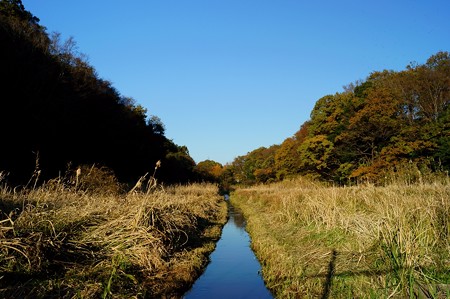 大町自然観察園