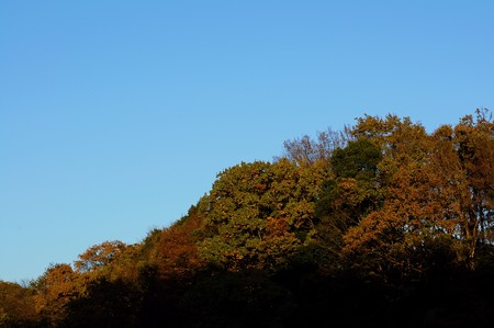 大町自然観察園