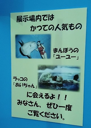 20140809 松島 マリンピア05