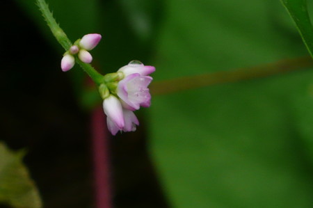 P1200791