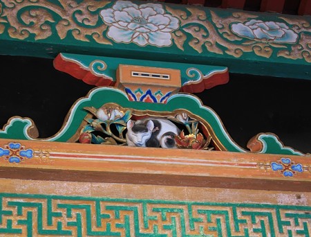 日光 眠り猫