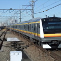 Photos: 南武線E233系8000番台　N31編成