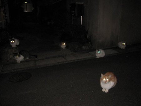 集会