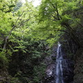 檜原村 払沢の滝 2