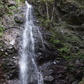 檜原村 払沢の滝 3