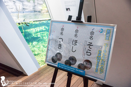 fukushima140727001