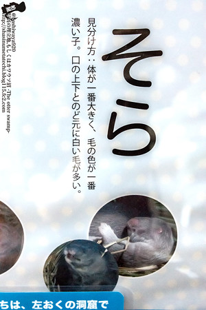 fukushima140727003