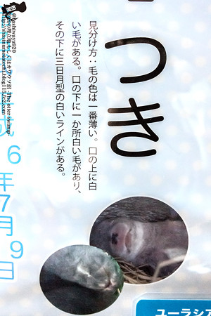 fukushima140727005