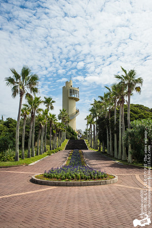 alohagarden140915002
